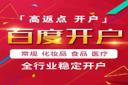 SEM代理助力品牌：案例解析与优化策略
